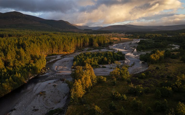 Cairngorms