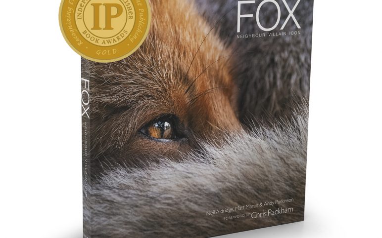Fox Wins Gold!