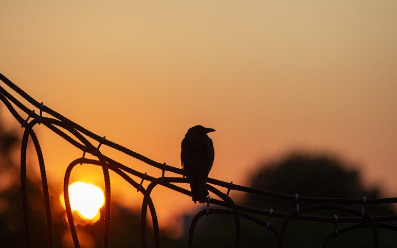 Photography with the National Trust