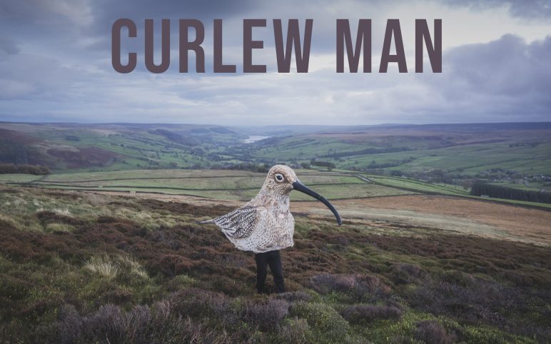 Curlew Man